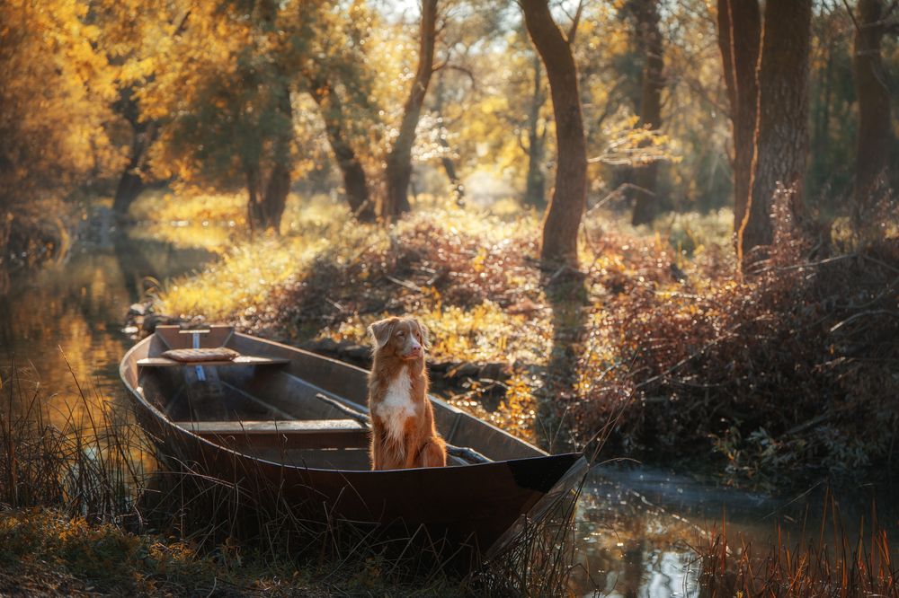 Photograph by Андрианова Ирина