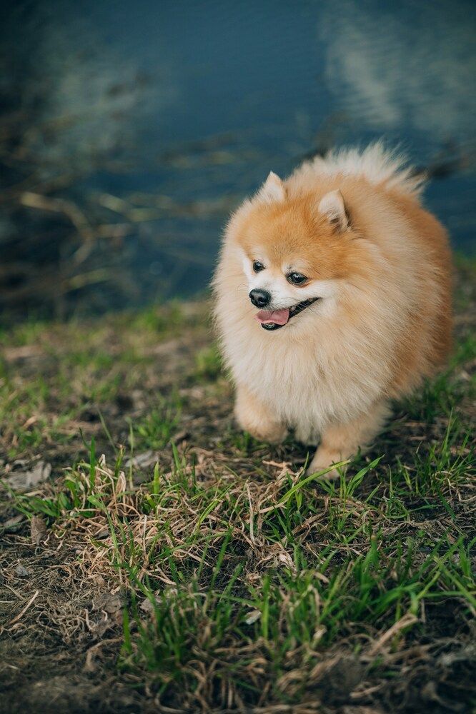 Photograph by Александра Кузуб