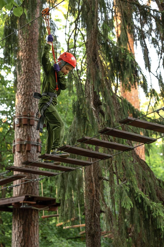 Фотография автора Ольга Степанова