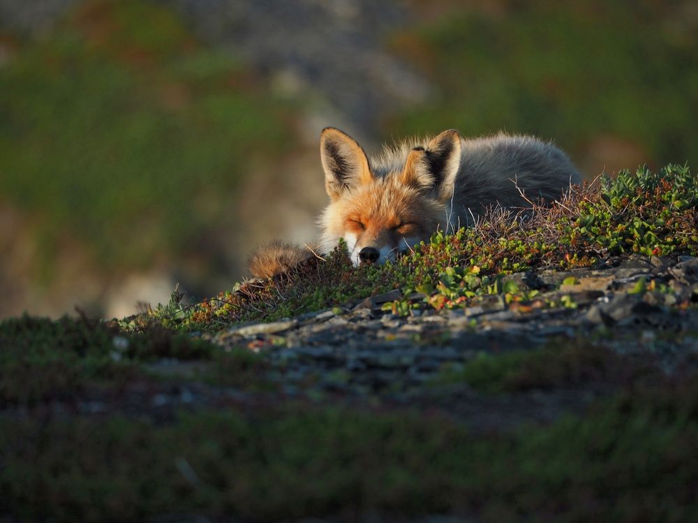 Photograph by Евгений Яковлев