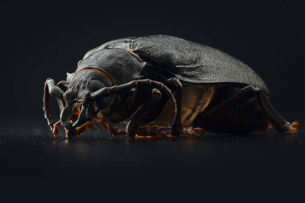 Photograph by Mikhail Khmelevskiy