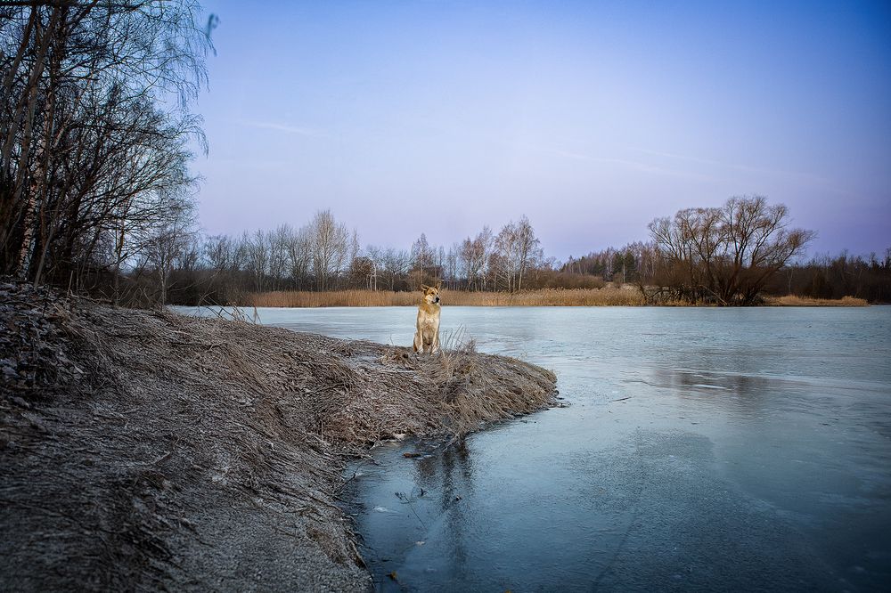 Photograph by Елена Самусенкова