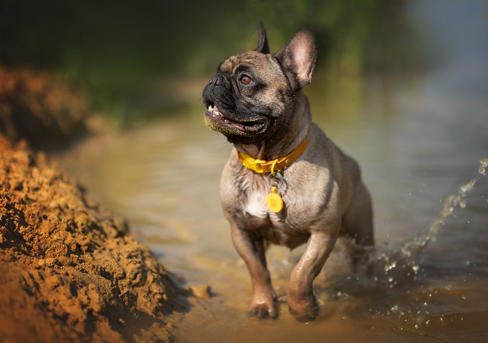 Photograph by Елена Самусенкова