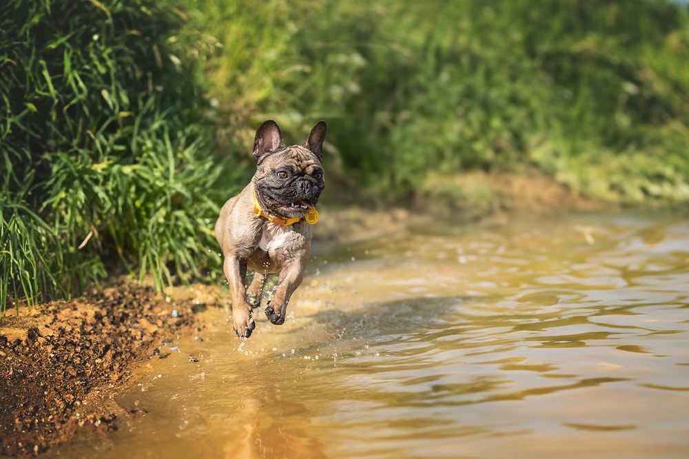 Photograph by Елена Самусенкова