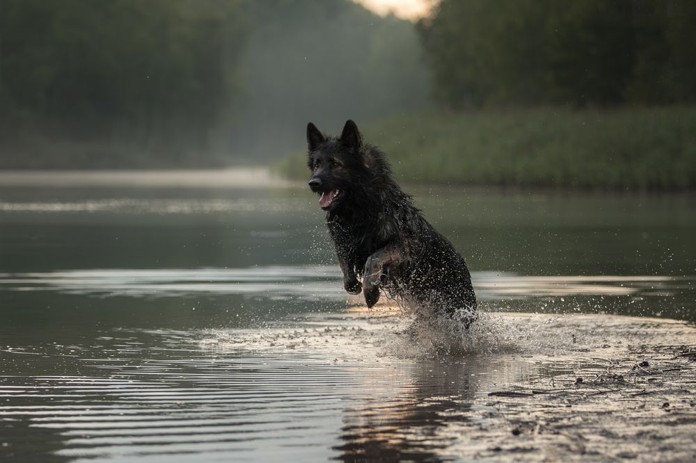 Photograph by Шерскова Мария