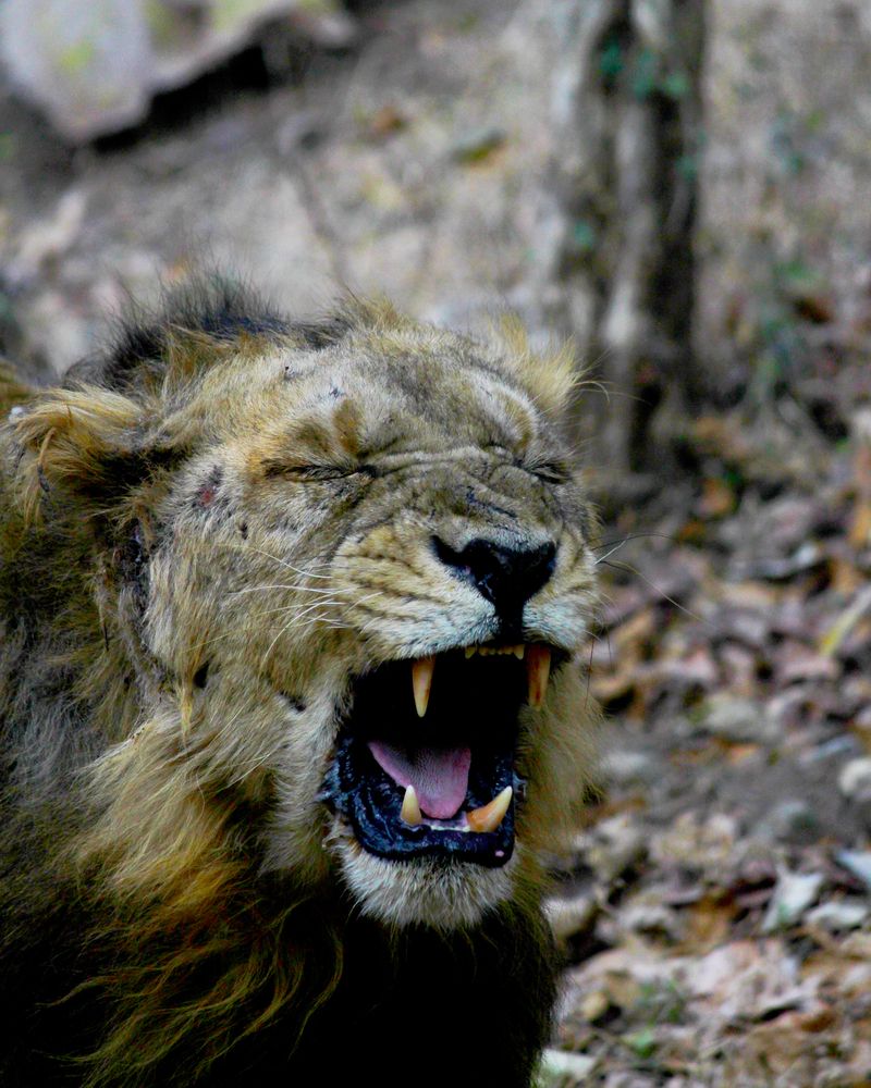 Photograph by Jainamkumar Patel
