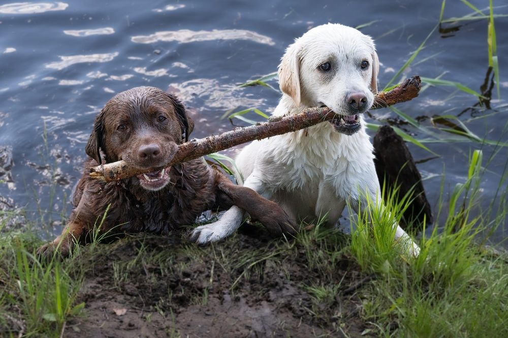 Photograph by Алексей