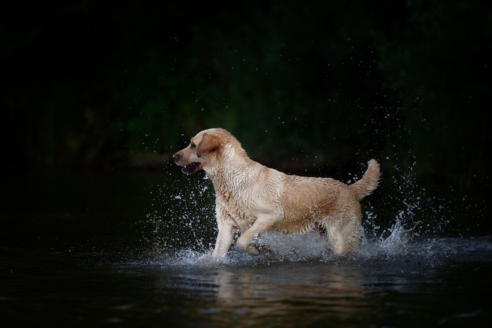 Photograph by Шерскова Мария