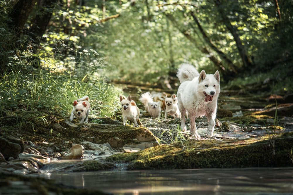 Photograph by Мария Кленовская