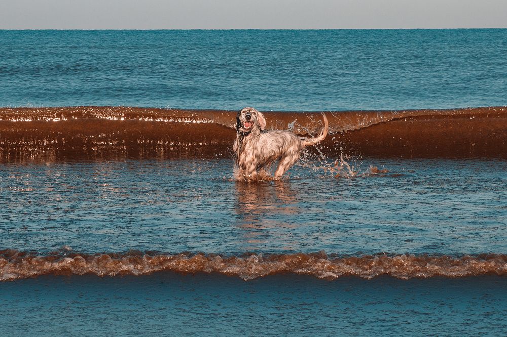 Photograph by Любовь Перевозникова