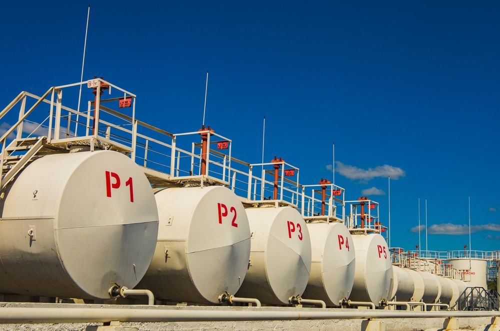 Фотография автора Кушпилева Марина