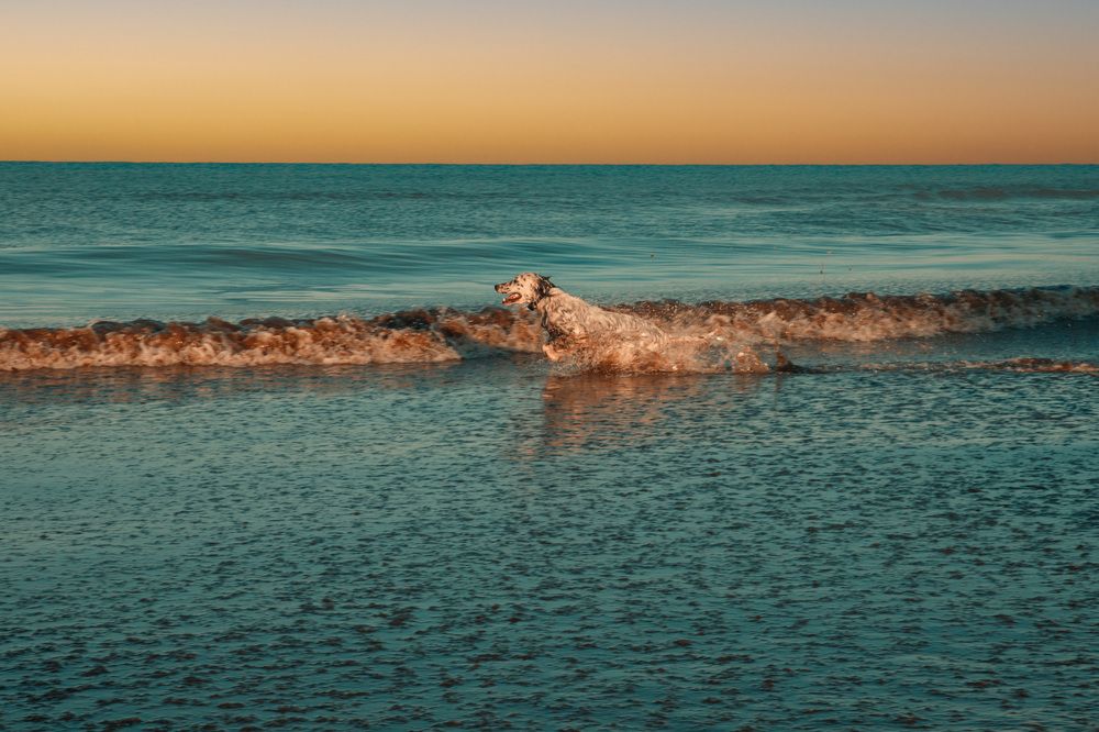 Photograph by Любовь Перевозникова