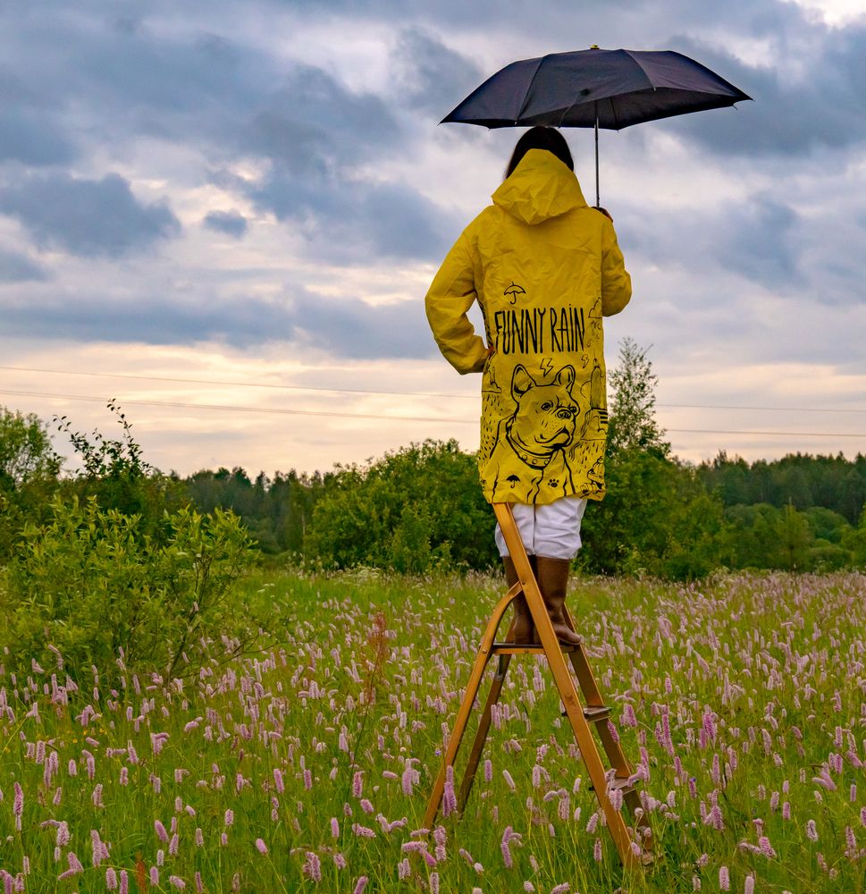 Фотография автора Николай Нестеренко