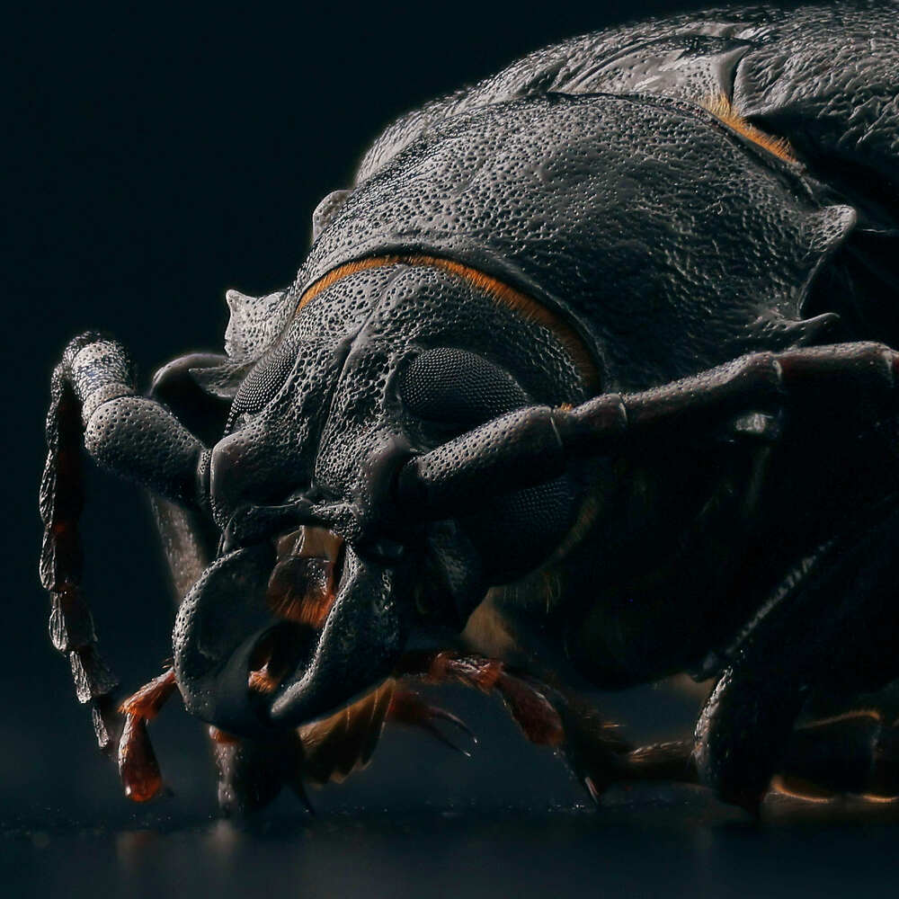 Photograph by Mikhail Khmelevskiy