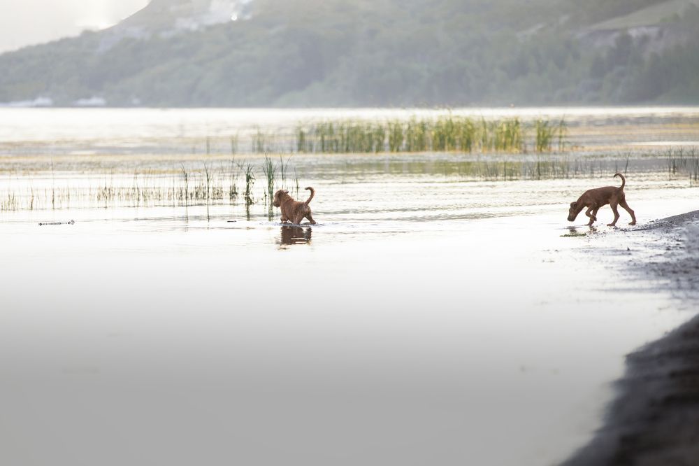 Photograph by Лилия Наконечная