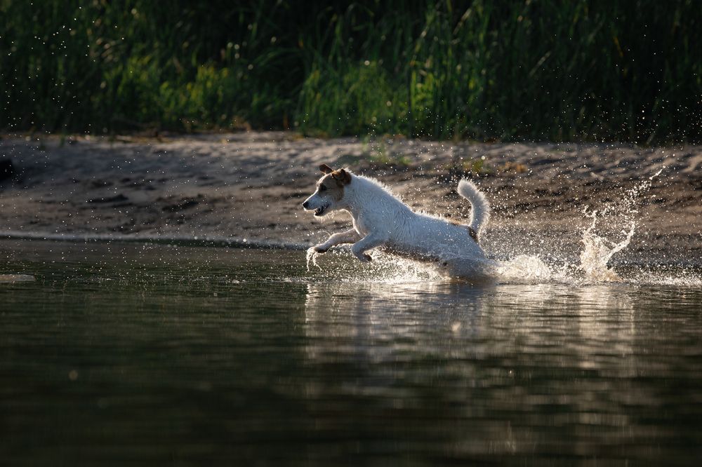 Photograph by Лилия Наконечная