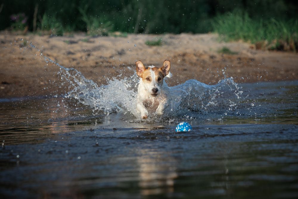 Photograph by Лилия Наконечная