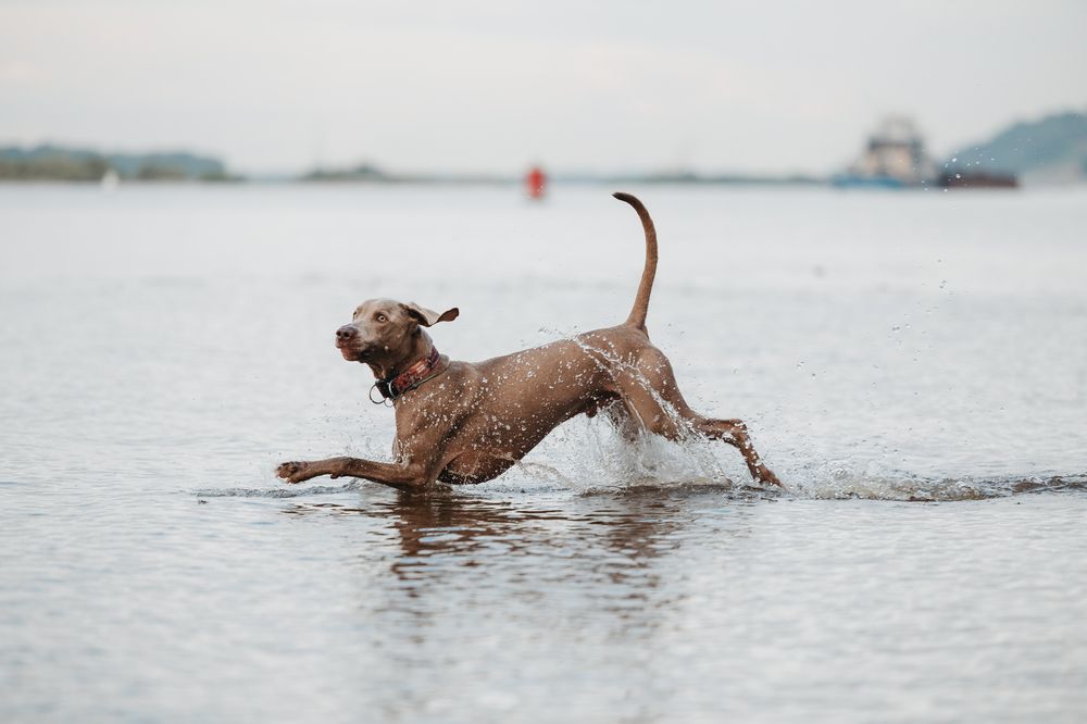 Photograph by Светлана Степашина