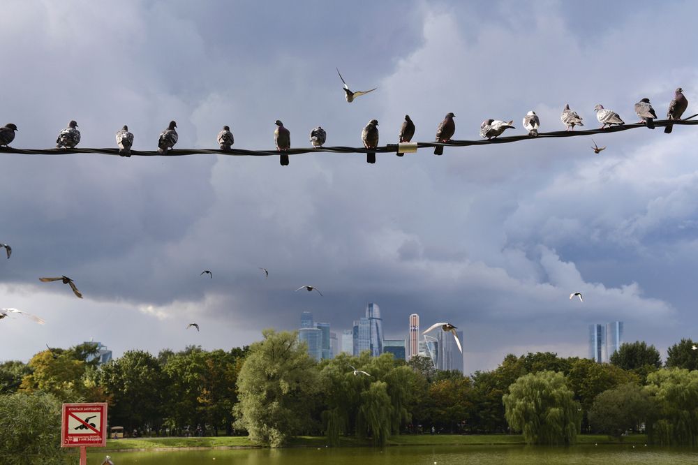 Photograph by Божена Пучко