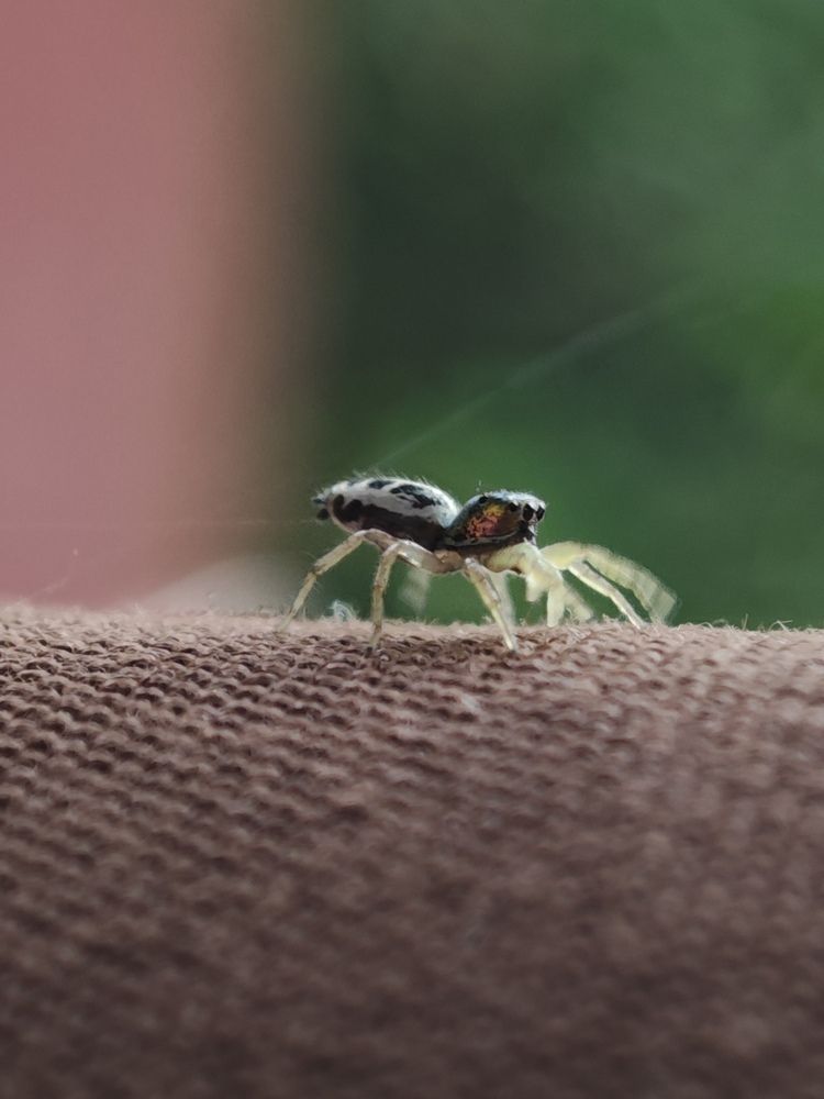Photograph by Алексей Климов