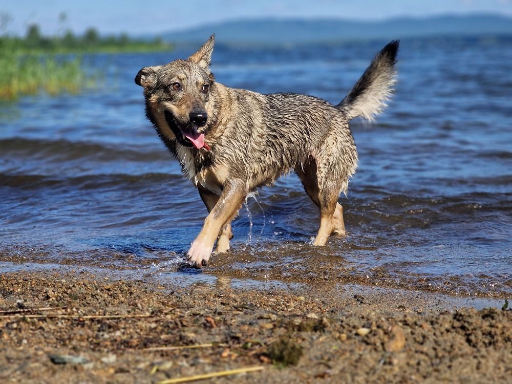 Photograph by ANDREY BATALOV