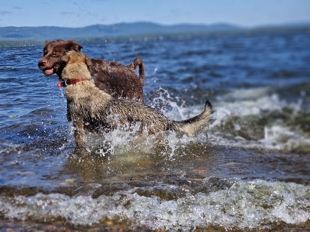 Photograph by ANDREY BATALOV