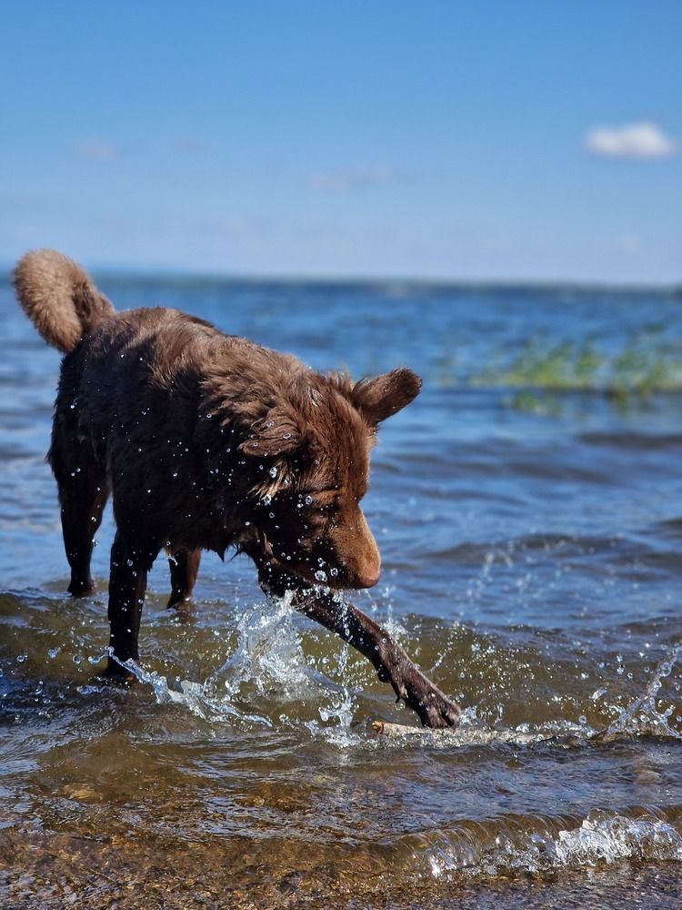 Photograph by ANDREY BATALOV