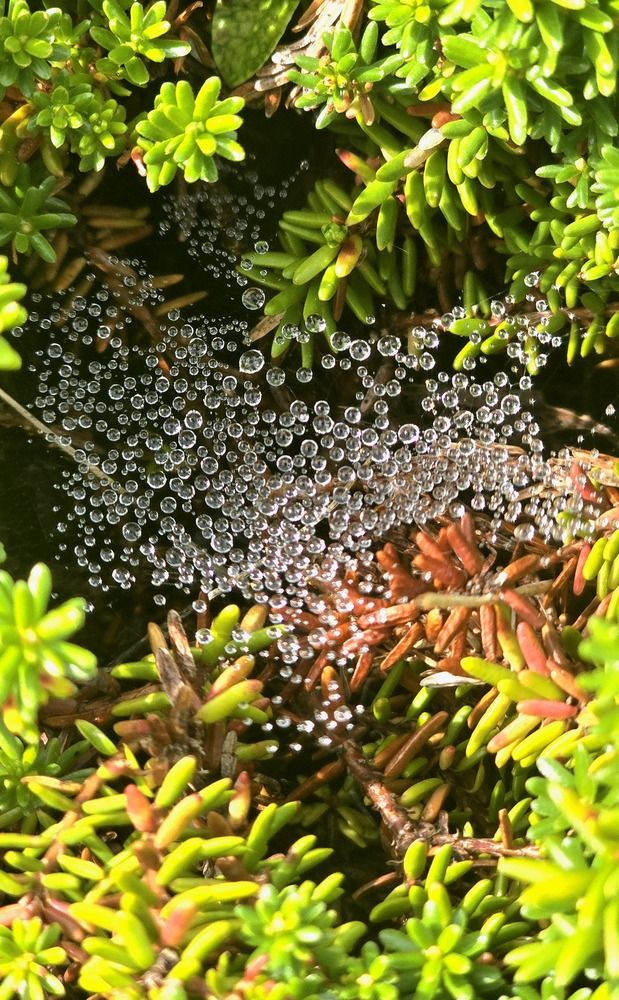 Photograph by Лариса Ким