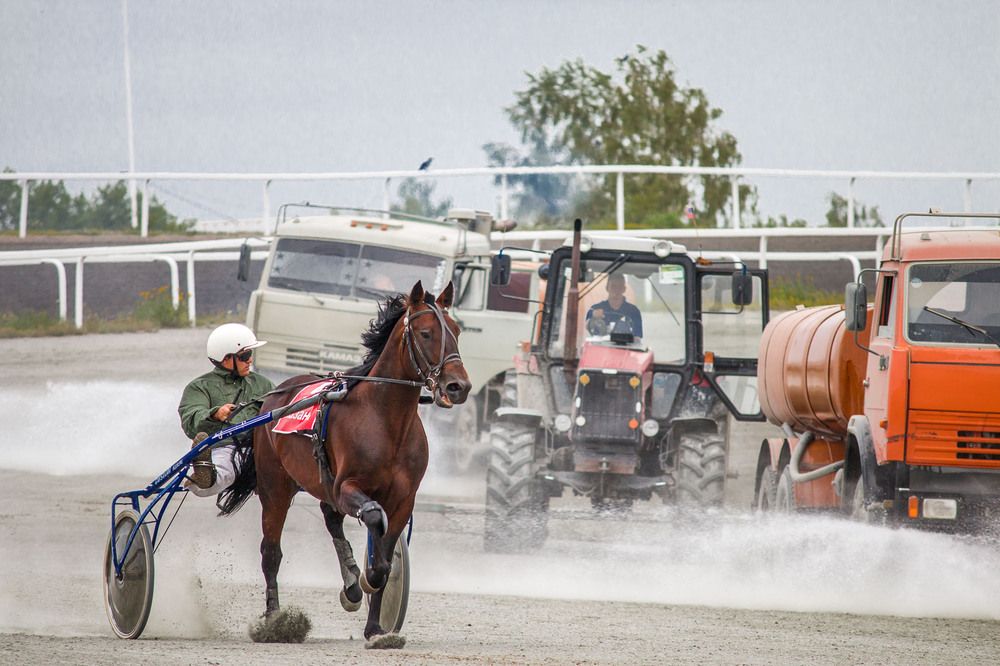 Photograph by Елена