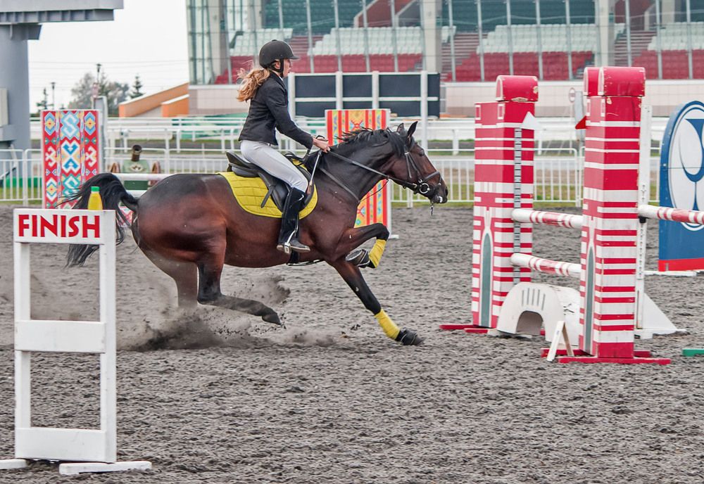 Photograph by Елена