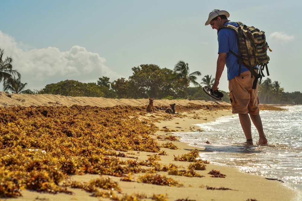 Фотография автора Chorche Prigo