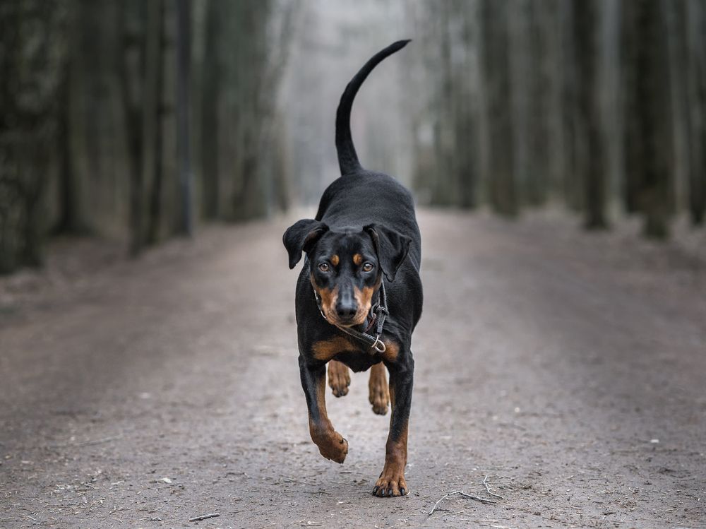 Фотография автора Васильева Светлана