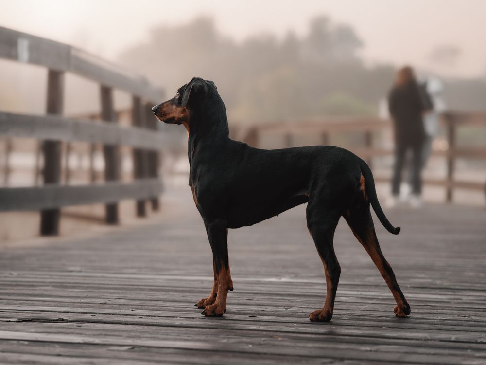 Фотография автора Васильева Светлана