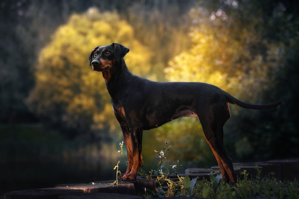 Photograph by Васильева Светлана