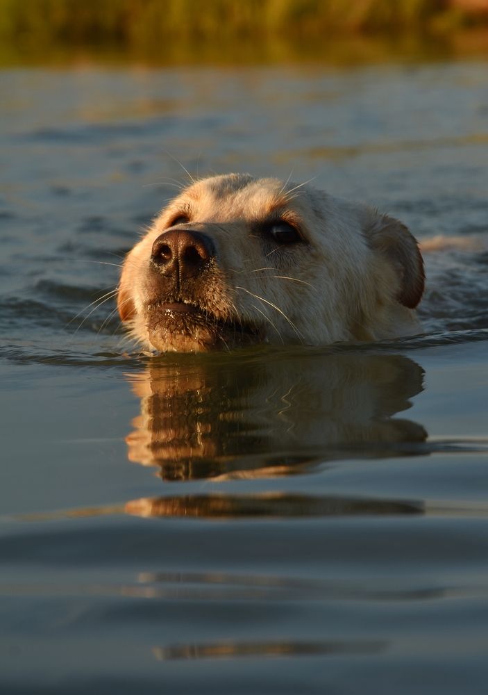Photograph by Татьяна Абабкова