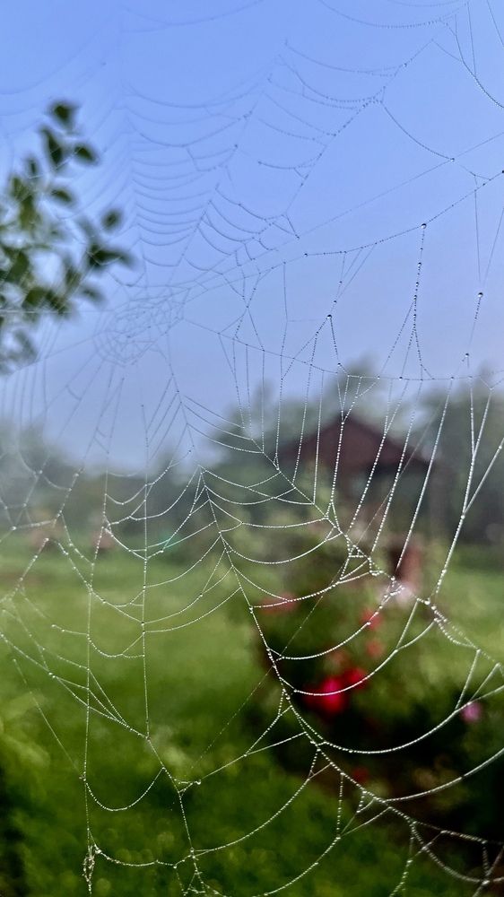 Фотография автора Виктория Ляпина