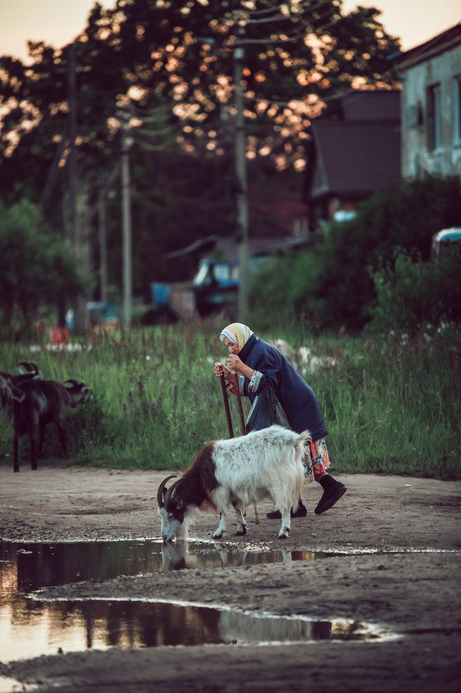 Photograph by Надежда Сайгашкина