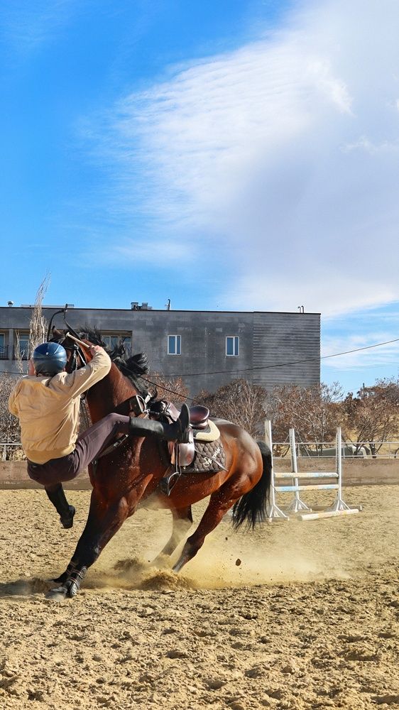 Photograph by Amir Hosein Shokrabadi