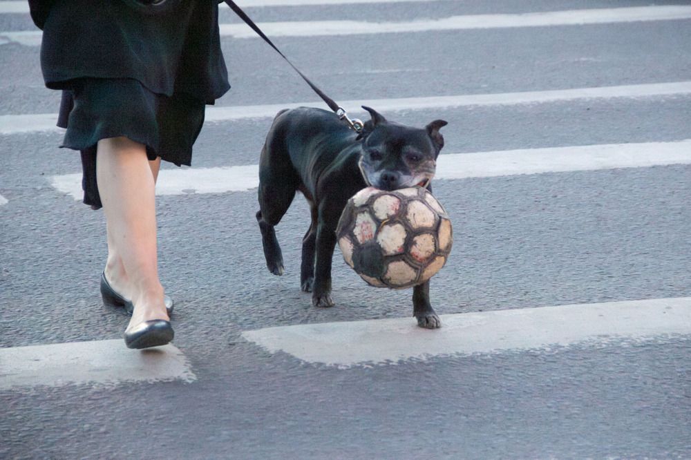 Photograph by Анна Мещерина