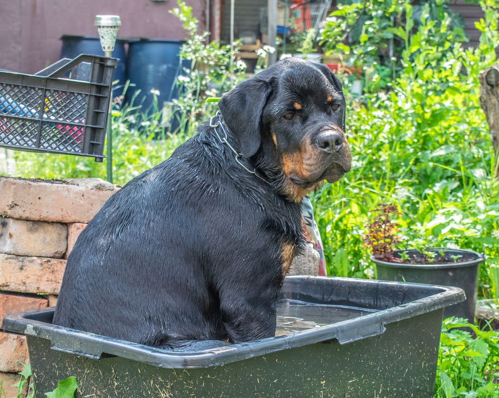 Photograph by Дмитрий Анисимов