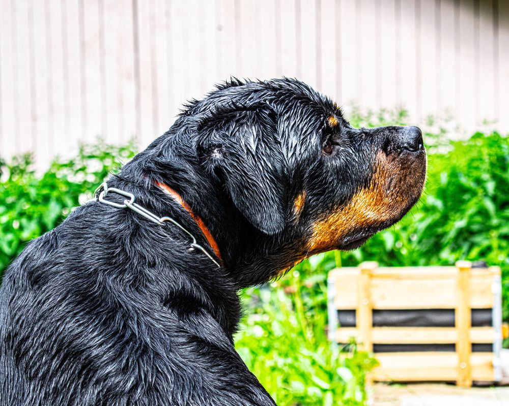 Photograph by Дмитрий Анисимов