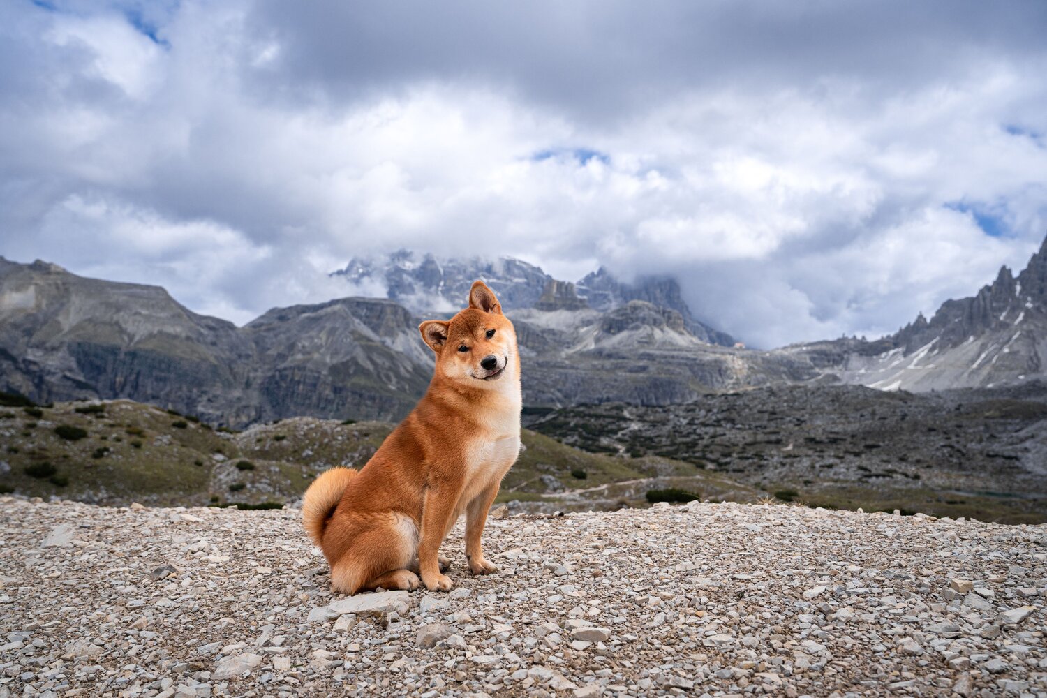 Photo #12439275
