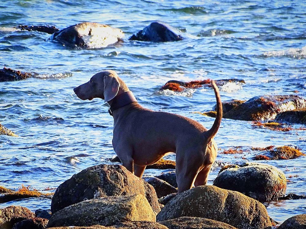 Ух ты! Море!