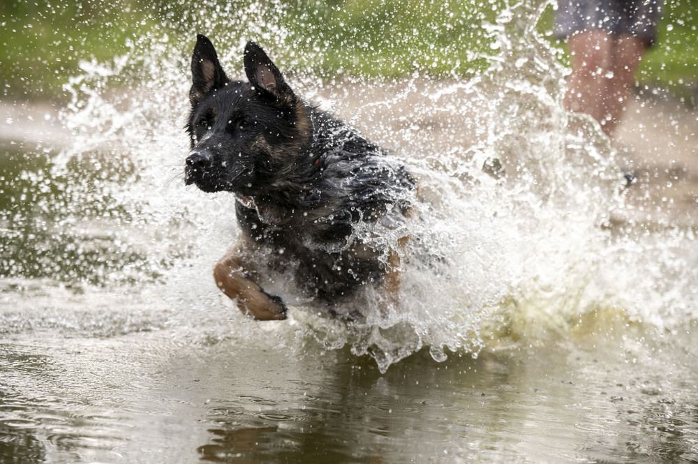 Photograph by Ольга