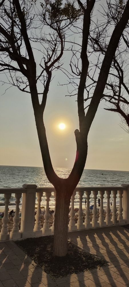 Photograph by Евгения Квятковская