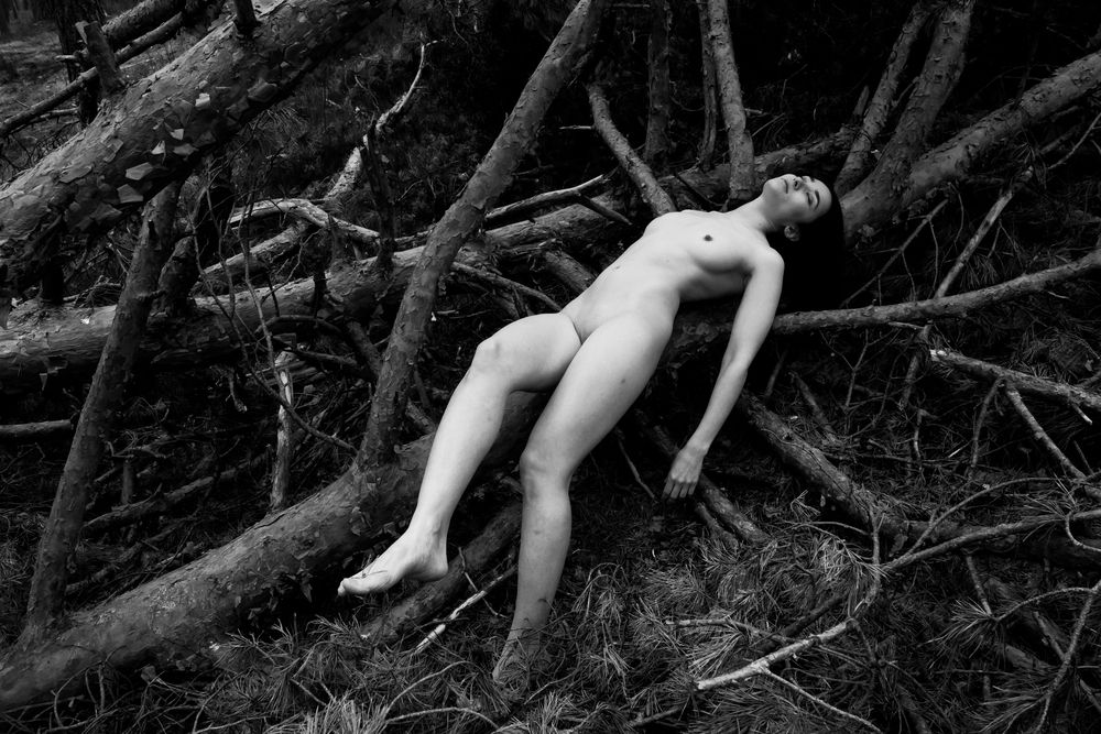 Photograph by Виктория смирнова