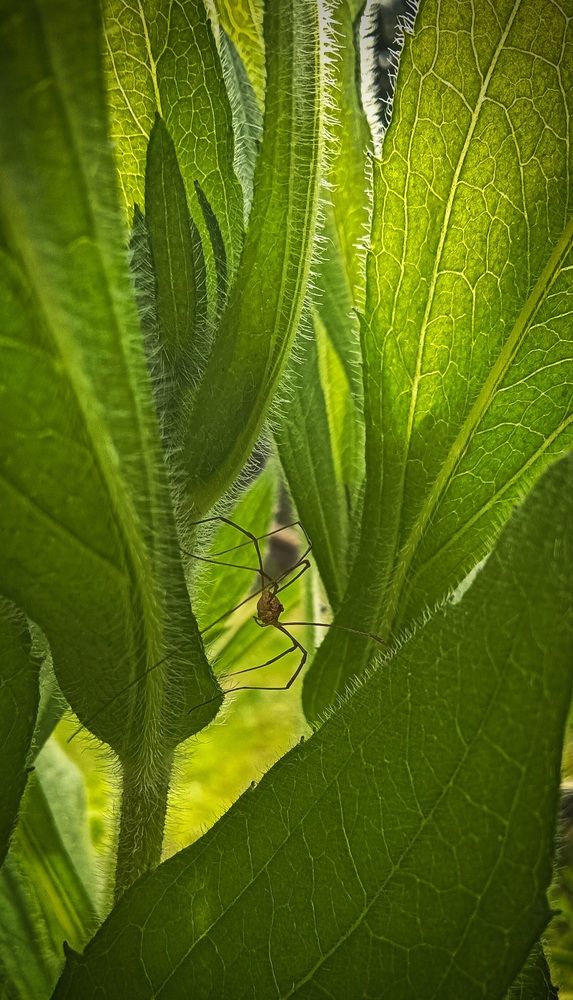 Photograph by Виктор Поздняк