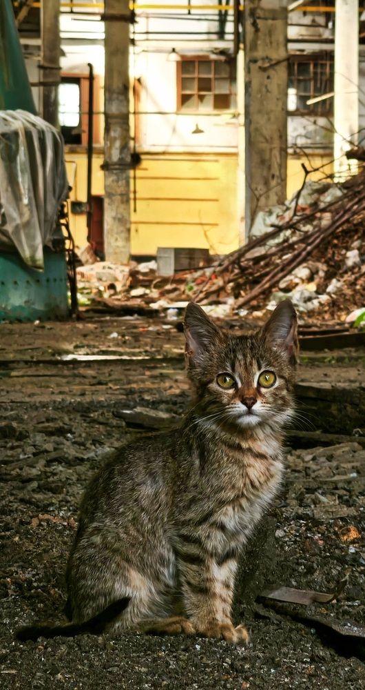 Photograph by Виктор Поздняк