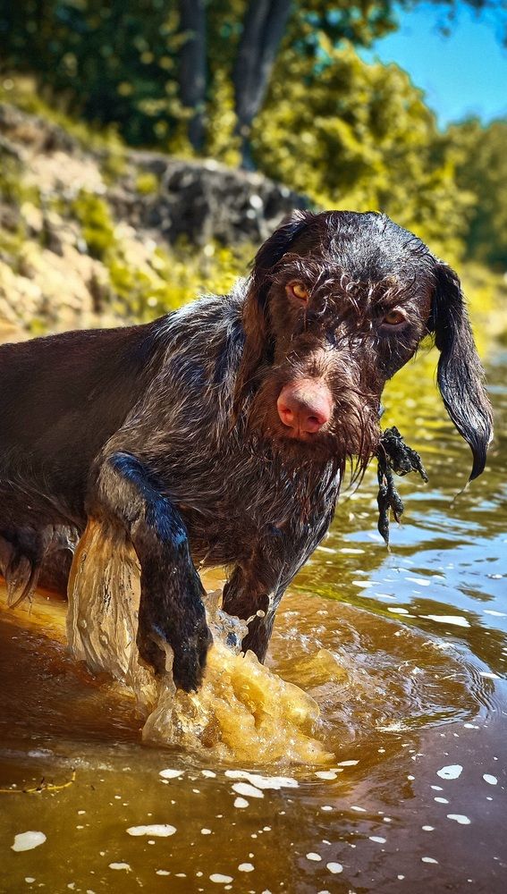 Photograph by Виктор Поздняк