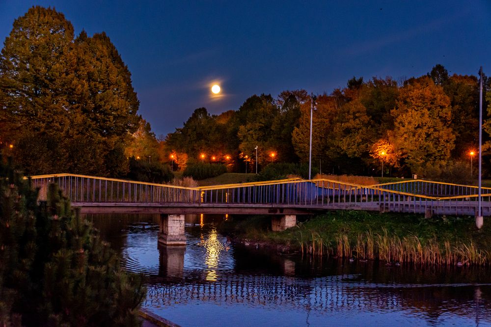 Парковый пруд